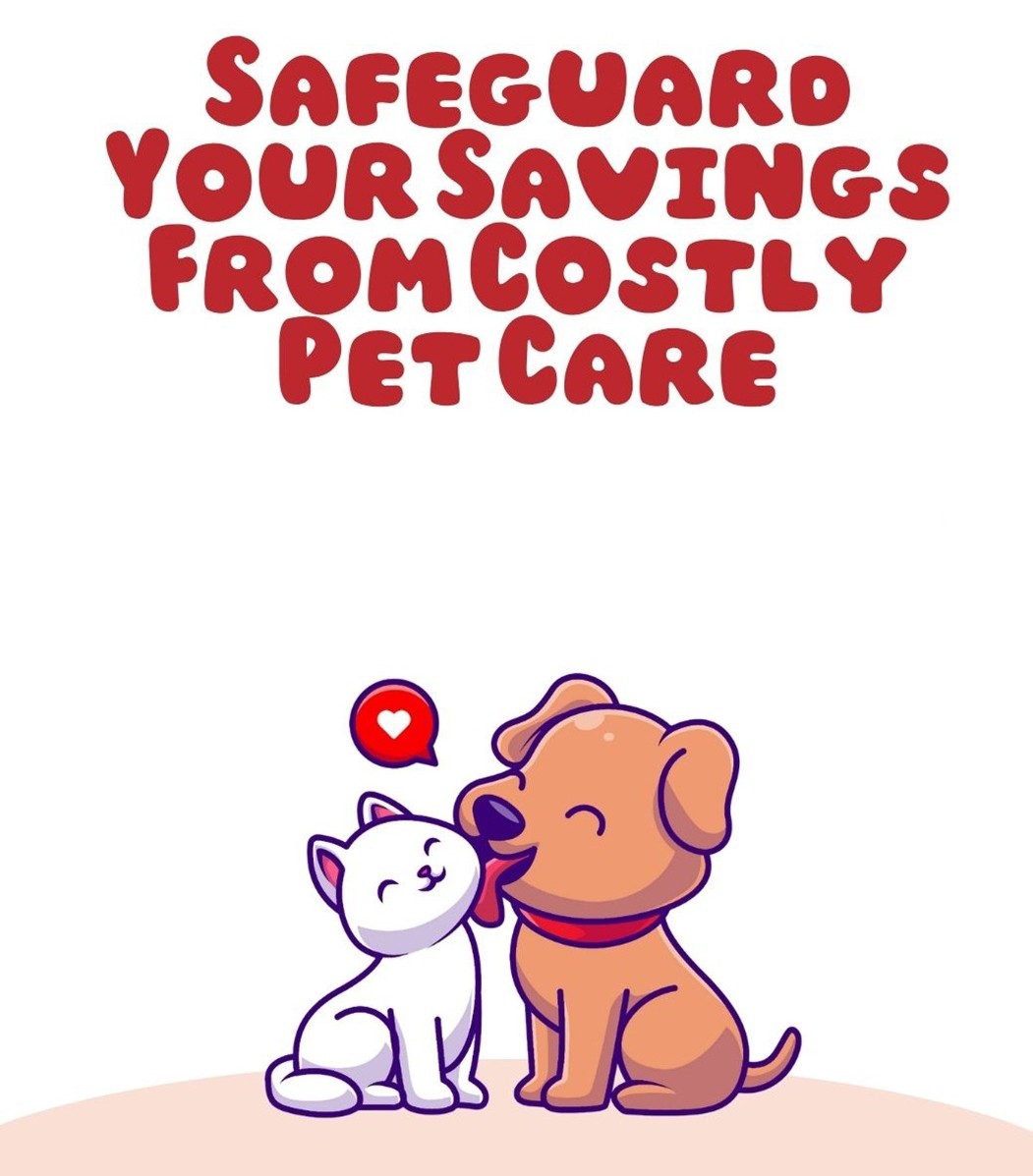 Pet Insurance: Protect Your Furry Friend
