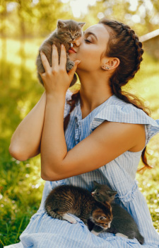 Pet Insurance Img